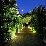 Sotto Il Cielo Pignola