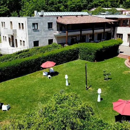 Sotto Il Cielo Pignola