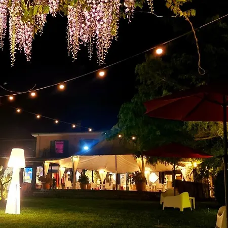 Sotto Il Cielo Pignola