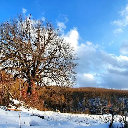 Otel Sotto Il Cielo 4*