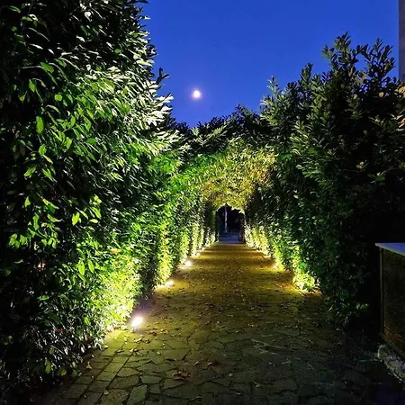 Sotto Il Cielo Pignola