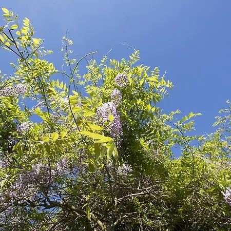 Sotto Il Cielo Otel Pignola