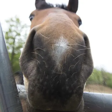 Hotel Sotto Il Cielo Pignola