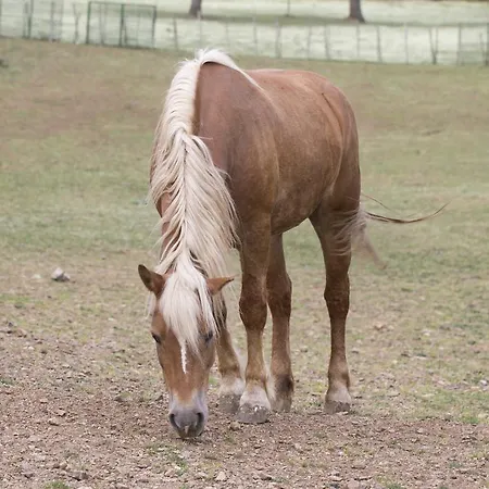 Otel Sotto Il Cielo Pignola