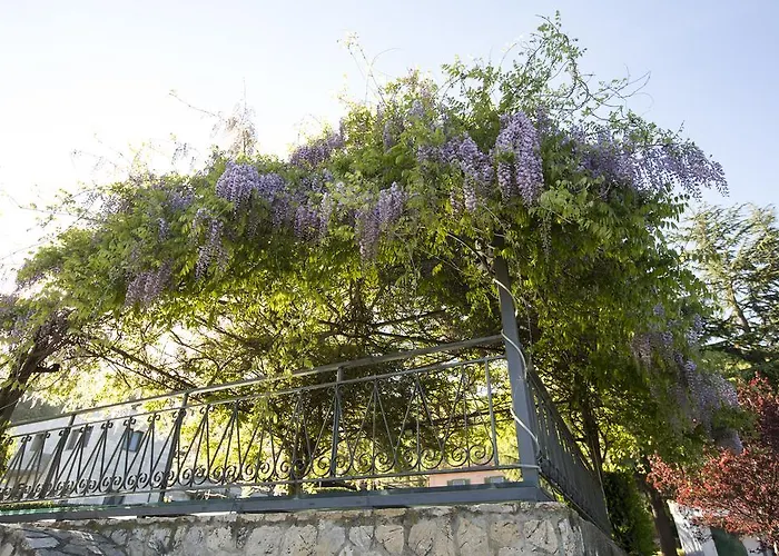 Sotto Il Cielo Hotel